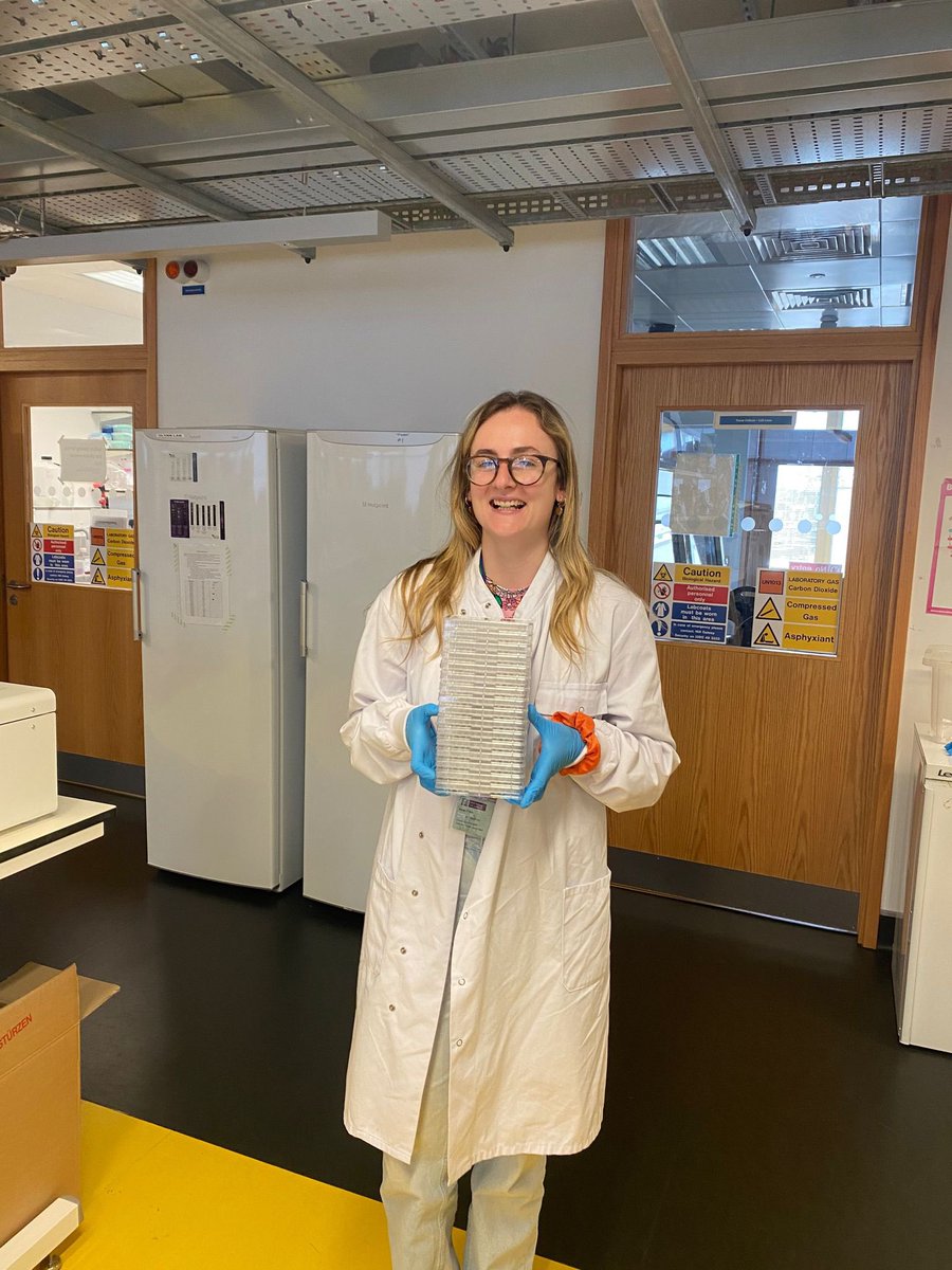 OAoise's tweet photo. Delighted to have finished my first #translationalstudy last night 🥳 huge thanks to my team members in the @aideenryan1 and @olivertreacy1 groups, couldn’t have done it without ye @eileenreidy111 @LeiLei2Galway @ClodaghON and Nora #glycotime #CRC https://t.co/HQn40cjrFq