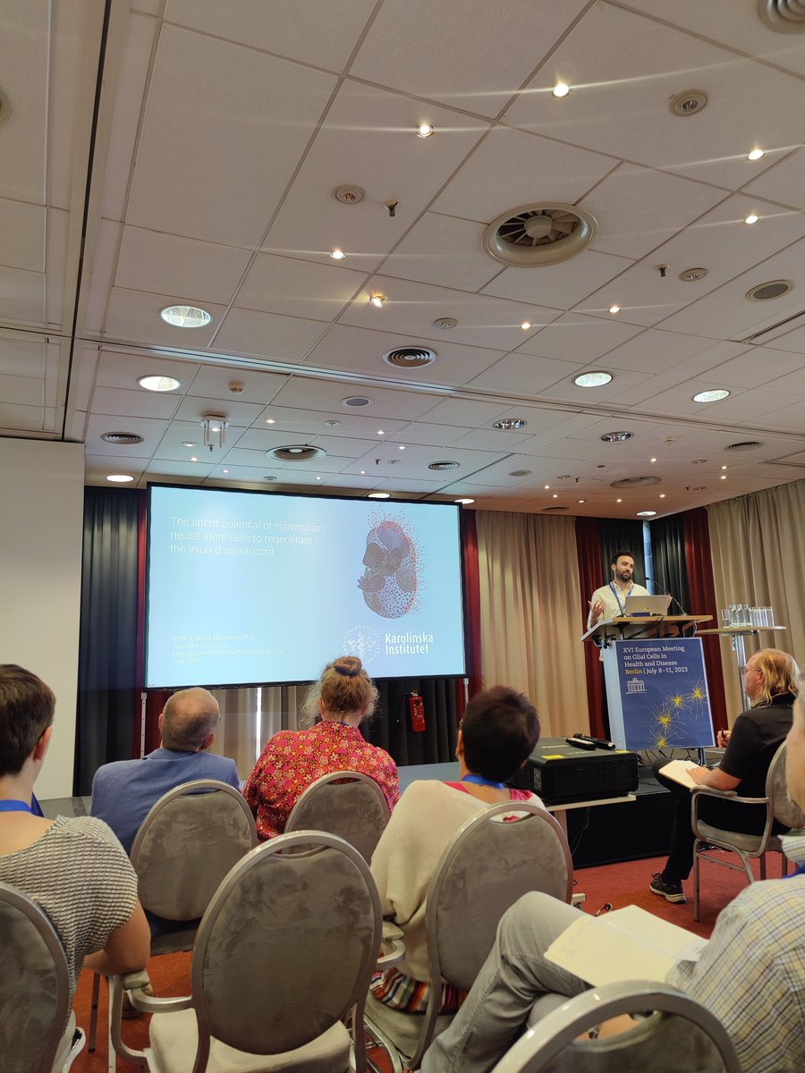 MartynaLukoseviciute (@lukmartyna) on Twitter photo Start of 'Multiomic analysis of glia-mediated regeneration' symposium organised and opened by our own <a href="/Ellorebo/">Enric Llorens</a> here at #glia2023. How can we guide injured CNS to repair itself? Start of 'Multiomic analysis of glia-mediated regeneration' symposium organised and opened by our own <a href="/Ellorebo/">Enric Llorens</a> here at #glia2023. How can we guide injured CNS to repair itself?