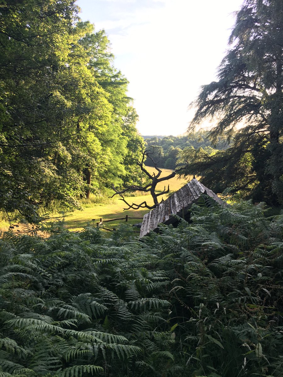 ⁦<a href="/GPilgrimCompany/">Geraldine Pilgrim</a>⁩ beautiful tree, part of Rooted artists’ trail ⁦@wakehurst_kew⁩, in a wonderful setting.