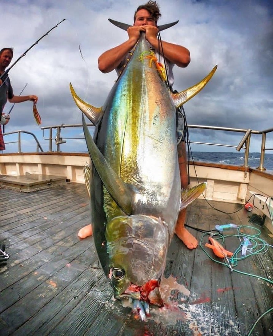 Awesome Tuna! 🎣🔥
#fishingtime #fishinglures #fishinglifestyle
#fishingfun #fishingrod #fishinglure