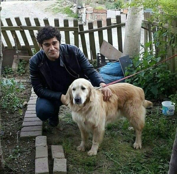ricksharaja's tweet photo. Why do people mock those who adopt multiple cats or care for animals? Such individuals are simply ignorant and lack compassion. #AnimalLovers #burakdeniz #RespectNeeded #haymur #HandeErçel https://t.co/XpGPYsdwH9
