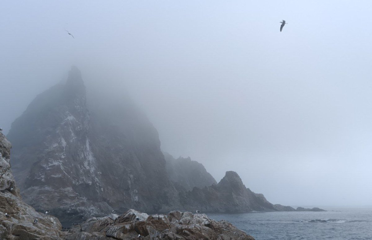 cold__seal's tweet image. Сахалин