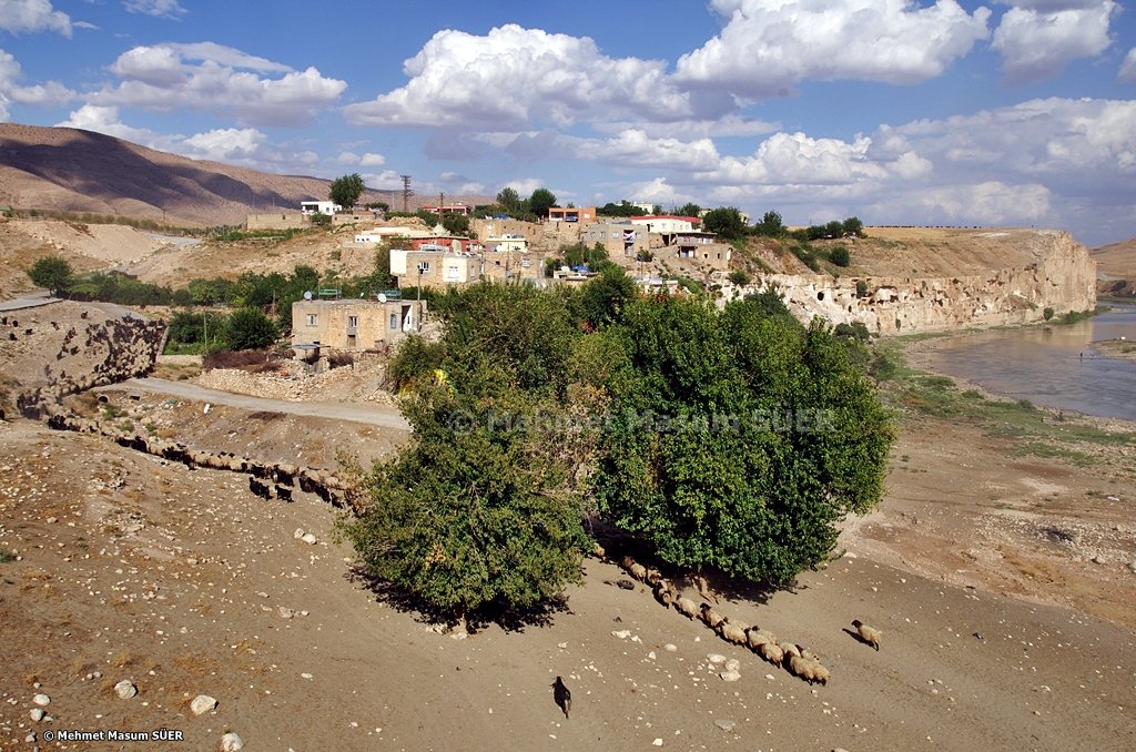 masumsuer's tweet photo. Hasankeyf, 2013. The historical town of Hasankeyf remained under the water of the Ilısu dam at the beginning of 2020. #hasankeyf #batman #ilisu #ılısu #dam #environment #nature #landscape #water #tigrisriver #river #historic #masumsuer https://t.co/cru10otZtU