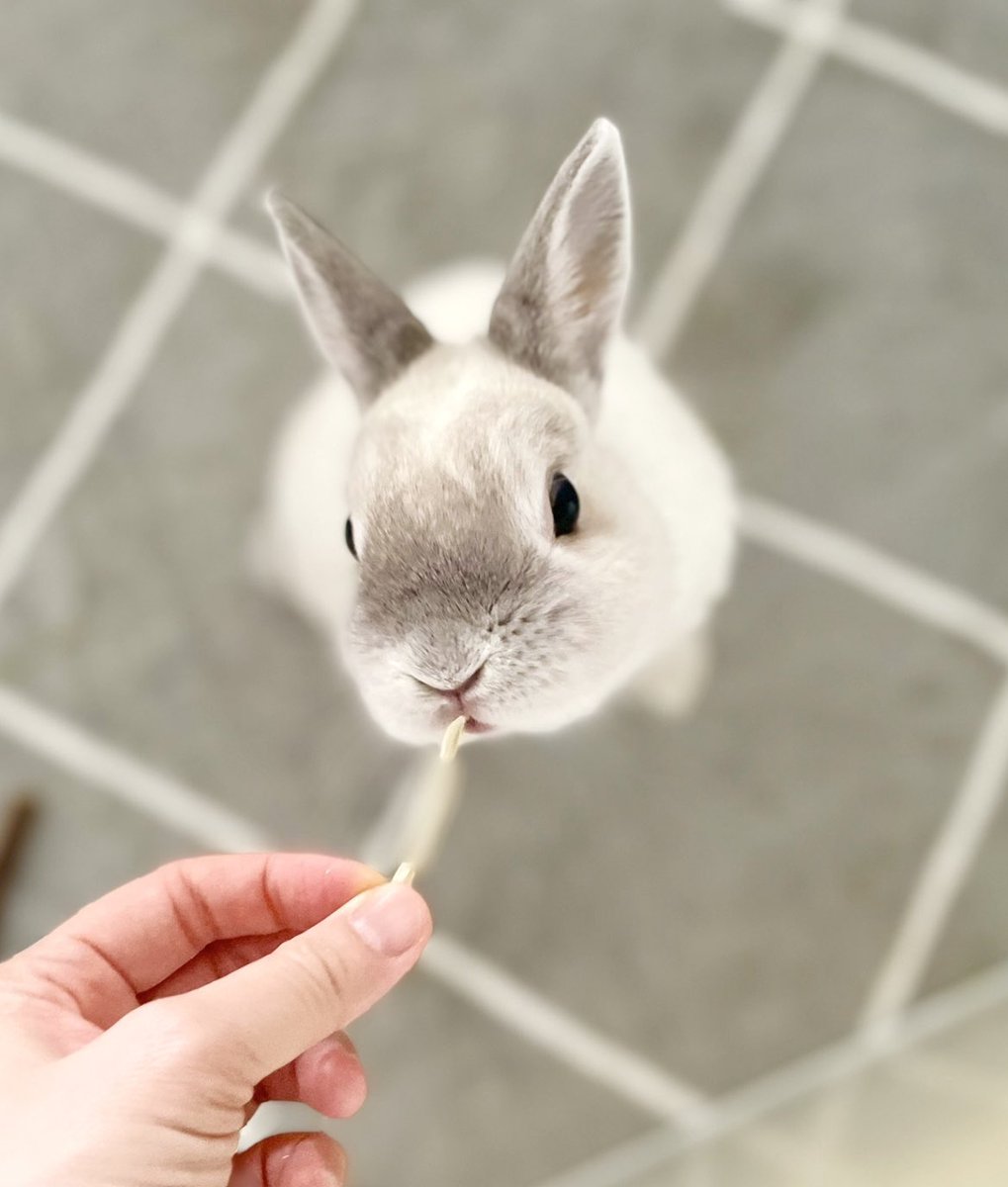 あーん✨

(ボケてるけどあげてるのはパパイヤ)