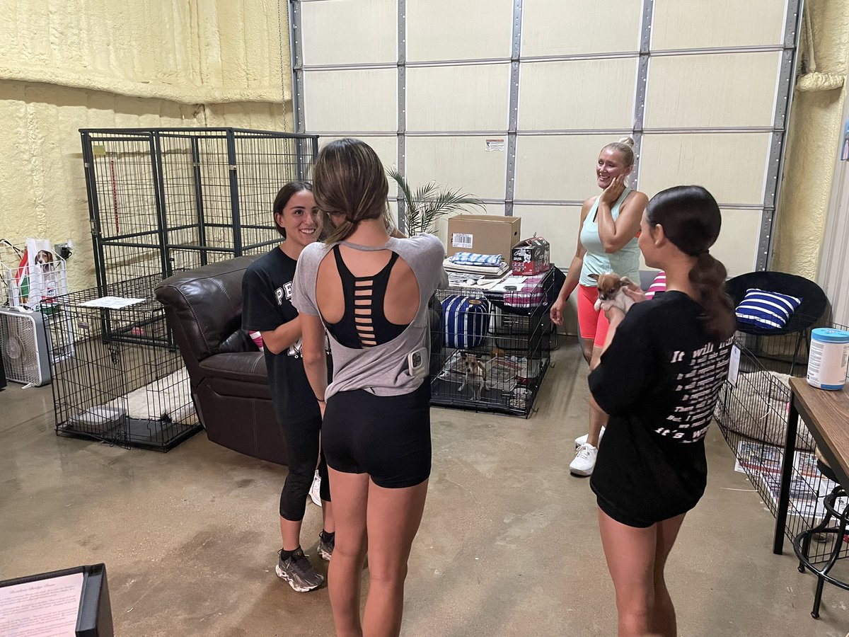 coach_torres2's tweet photo. Permian boys and girls Cross Country started their community service hours at the Odessa Humane Society. 
Thank you for letting us help out, we enjoyed our time! 
#CommunityOpportunity 
@HumaneOdessa @PermianSports @ECISDAthletics https://t.co/xxno0gKfbF