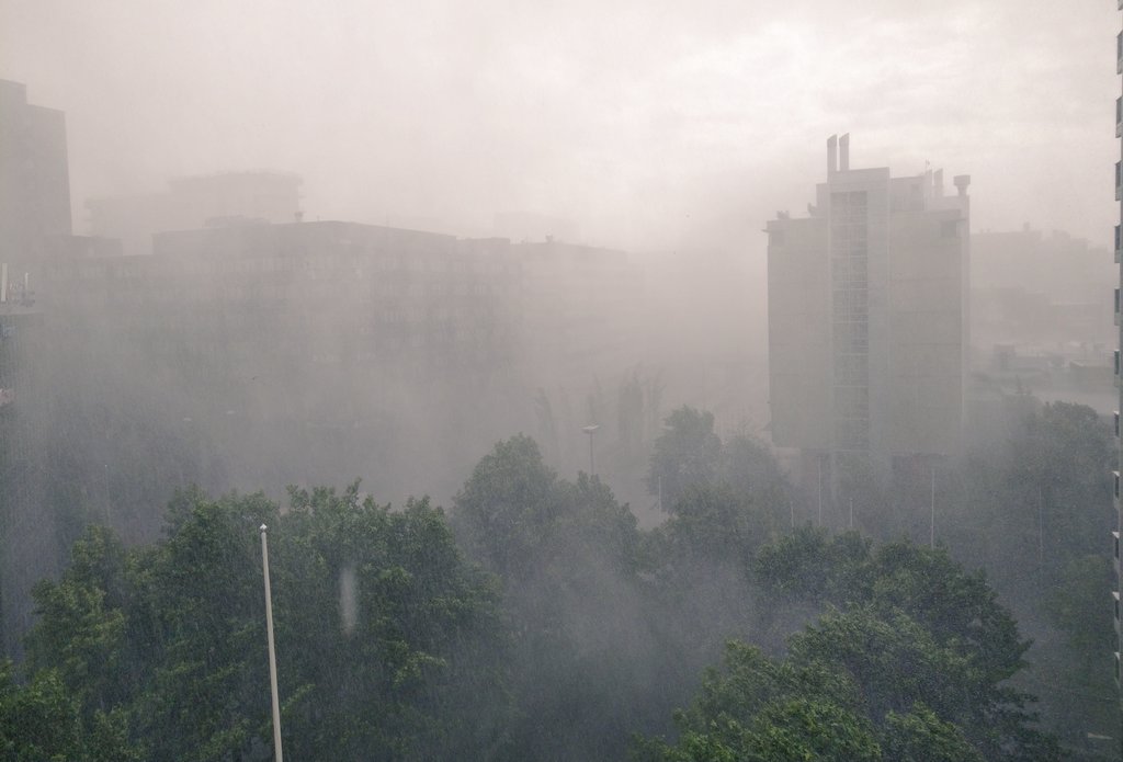 めっちゃ雨降ってきた