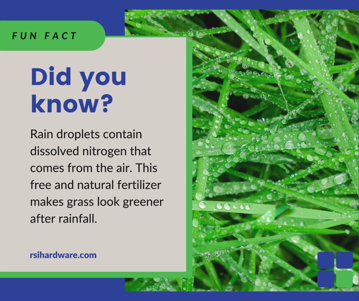 RsiHardware's tweet image. 