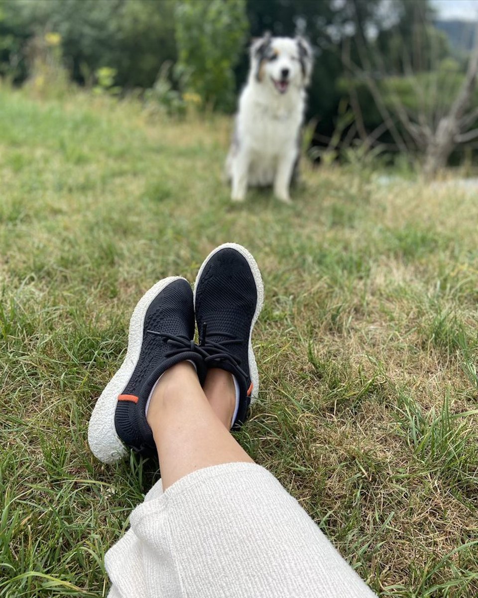 balistonshoes's tweet photo. Four-legged walking coach, always on duty 🐶👟🌼
Share your #Baliston shoe photos or videos with us for a chance to be featured on our social media!
#toesforward #shouldersback #personaltrainer https://t.co/Q0bZVcWXy7