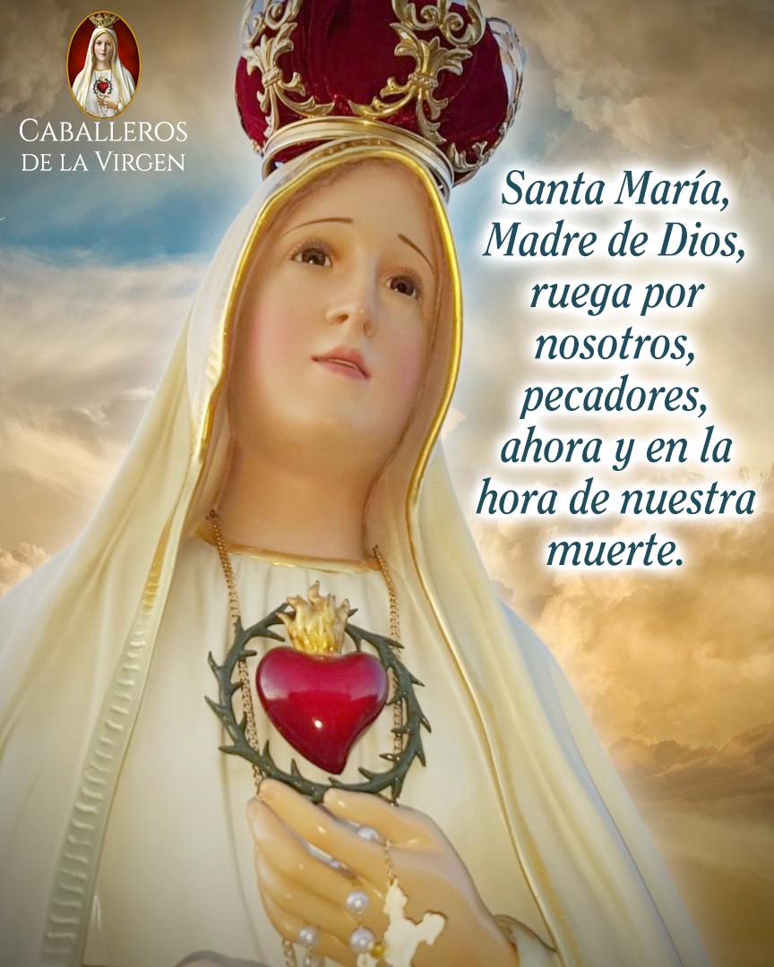 Cab_Virgen's tweet photo. Santa María, Madre de Dios, ruega por nosotros, pecadores, ahora y en la hora de nuestra muerte. https://t.co/Y0VZ3H9G7D