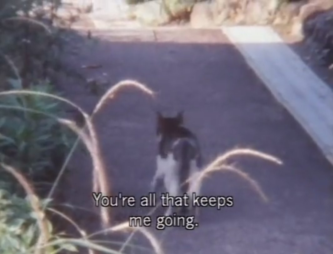 sᴇɴᴛɪᴍᴇɴᴛᴀʟ ɢɪʀʟ ᴠɪᴏʟᴇɴᴛ ᴊᴏᴋᴇ tweet media