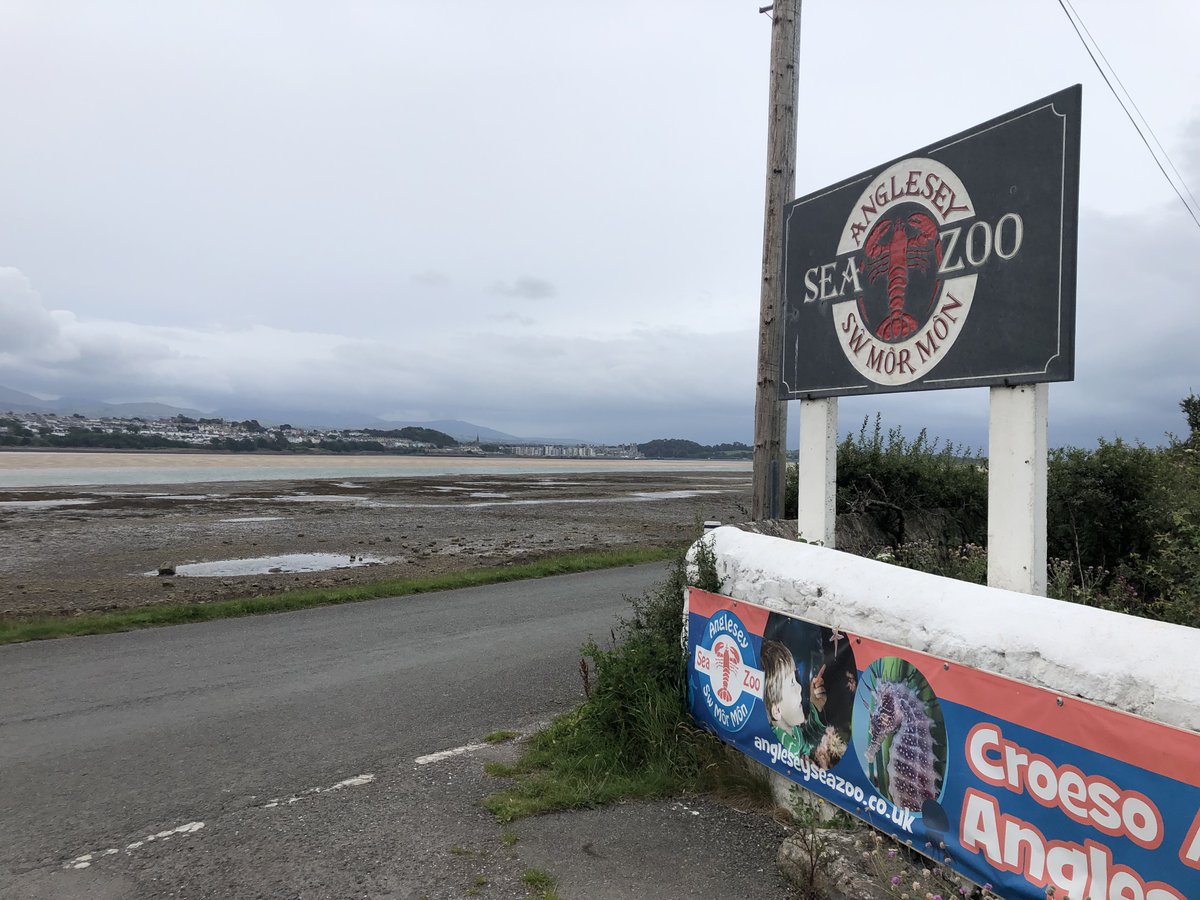 tarquinjordan's tweet photo. @CTWCSRhyl @PhysicsNews Great morning at Anglesey Sea Zoo looking at issues of sustainability &amp; Science in north Wales. The moon jellyfish were mesmerising. Hard to believe this is so close to home (Caernarfon is just across the Menai Straits). https://t.co/Beed1HnTGd