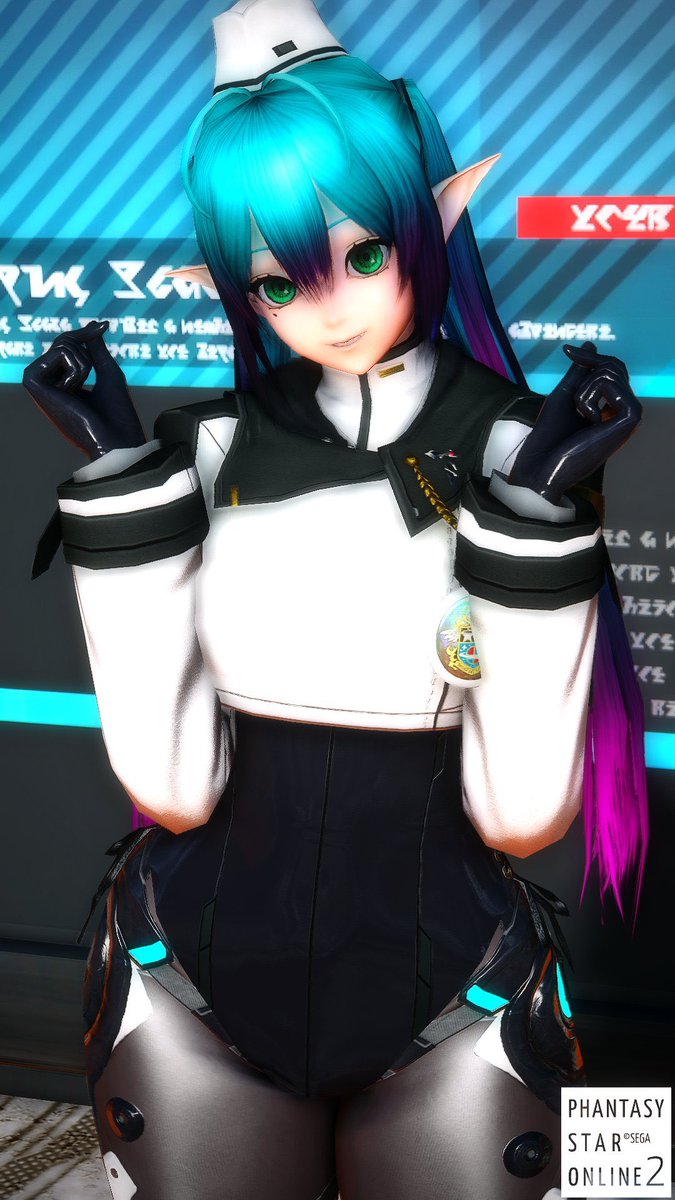 これがNGS次元のうちのこです #PSO2NGS 