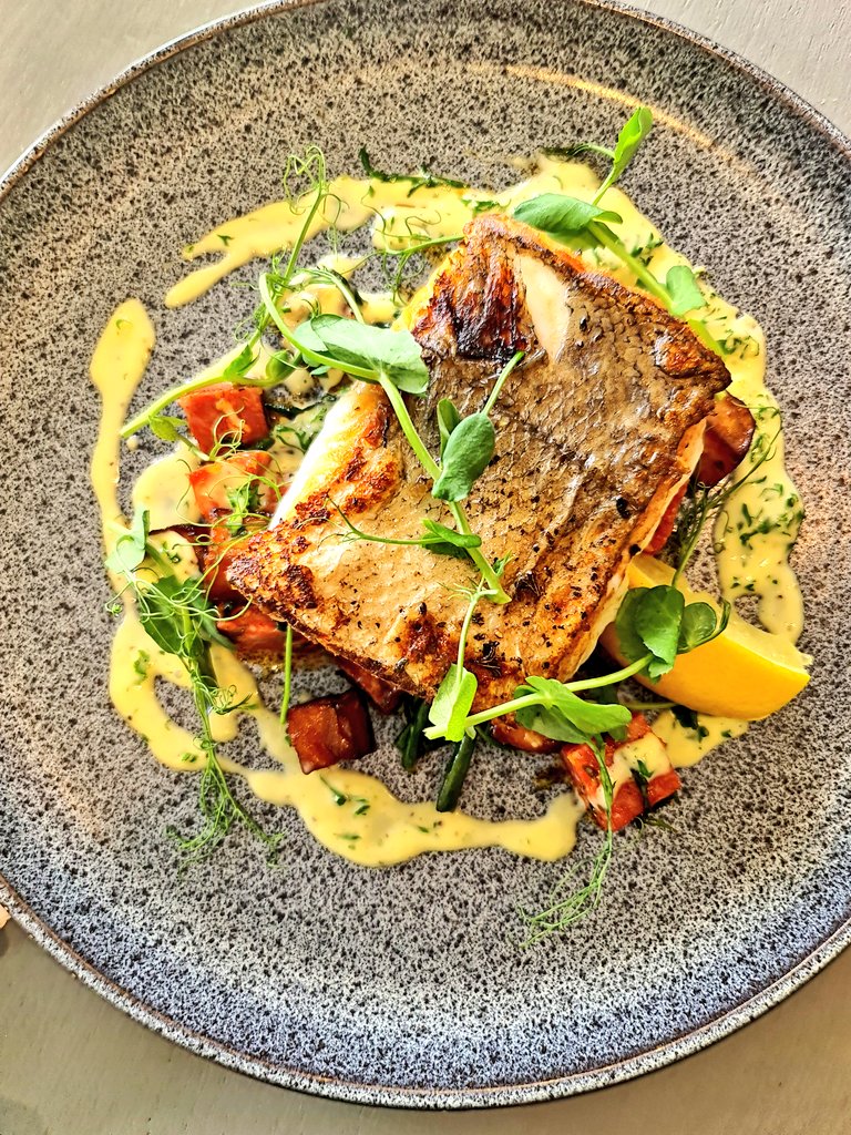 Lauren_Heath_PA's tweet photo. Vineyard Vibes... they do great food at their bistro too! @oldwallsvinyard
#Teignmouth #vineyard #DevonWine https://t.co/lKH6grXDVk