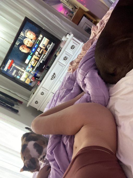 Sorry&hellip; the bed is too full. No room for you https://t.co/sUx4WGtyEA<a href="/tag/mfc"class="tags"><span>#mfc</span></a><a href="/tag/chaturbate"class="tags"><span>#chaturbate</span></a>