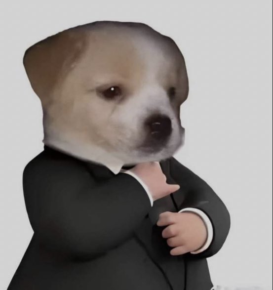 El perrito formal y yo, les venimos a comunicar que los amamos mutis 🫂