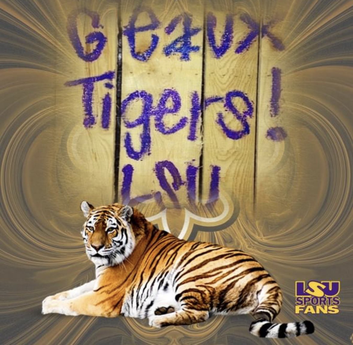Paper Tiger Tailgate tweet media