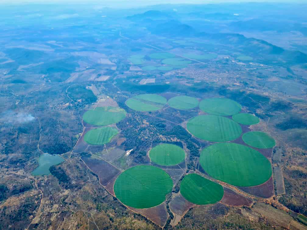 MoLAFWRD_Zim's tweet photo. The Import substitution thrust moves a gear up. Wheat self-sufficiency a MUST! especially in light of the interconnected and overlapping 3Cs realities: Climate, Covid and Conflicts.
ZimFarmersCan.
Going4Growth. 
https://t.co/KNEyQroBXG
@basera_john @VPHaritatos https://t.co/WNBo1nZVIa