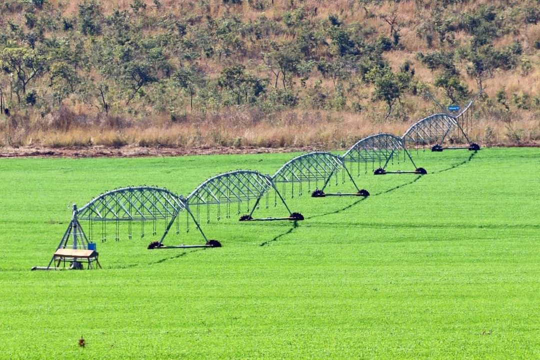 MoLAFWRD_Zim's tweet photo. The Import substitution thrust moves a gear up. Wheat self-sufficiency a MUST! especially in light of the interconnected and overlapping 3Cs realities: Climate, Covid and Conflicts.
ZimFarmersCan.
Going4Growth. 
https://t.co/KNEyQroBXG
@basera_john @VPHaritatos https://t.co/WNBo1nZVIa