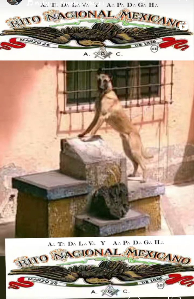 Jorge Alberto Álvarez Saavedra (@jorgealbertolv8) on Twitter photo 