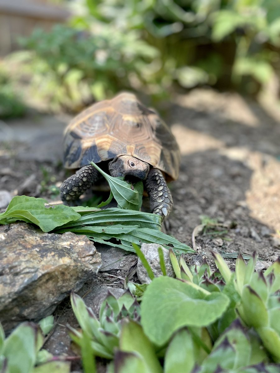 Grüße von Frau Kröte. 💚🌸