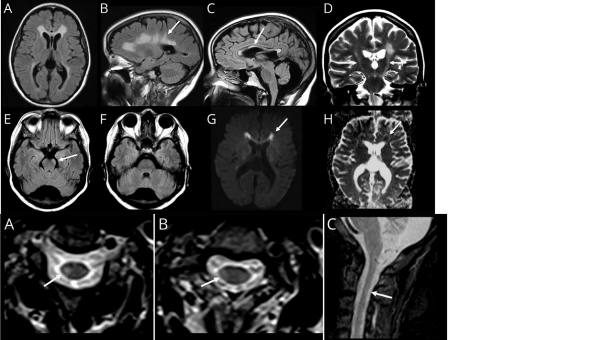 Dr. Brandon Beaber tweet media