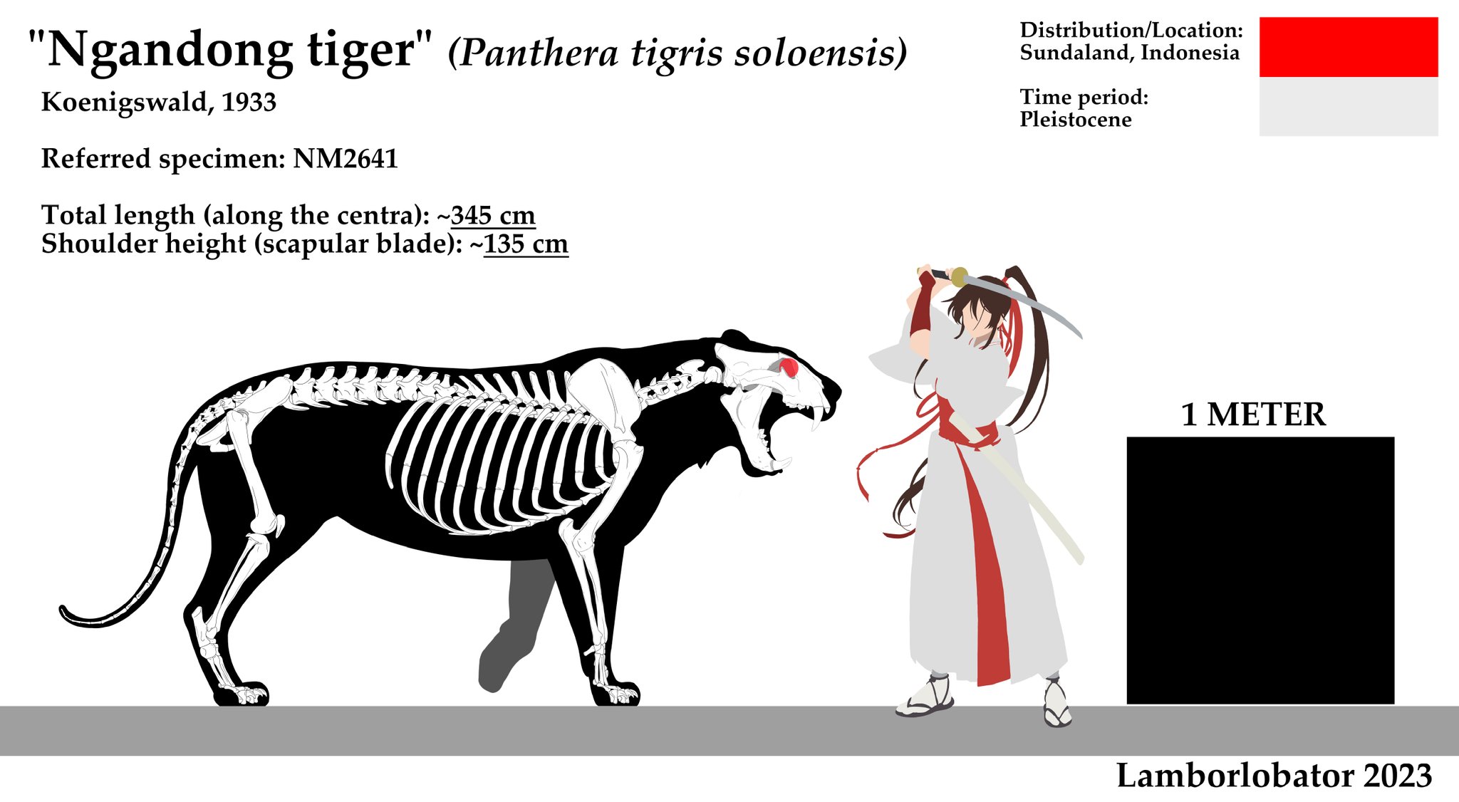 Panthera Tigris Soloensis