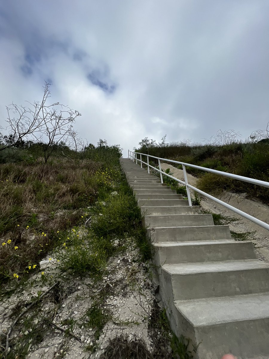 #palosverdes #California