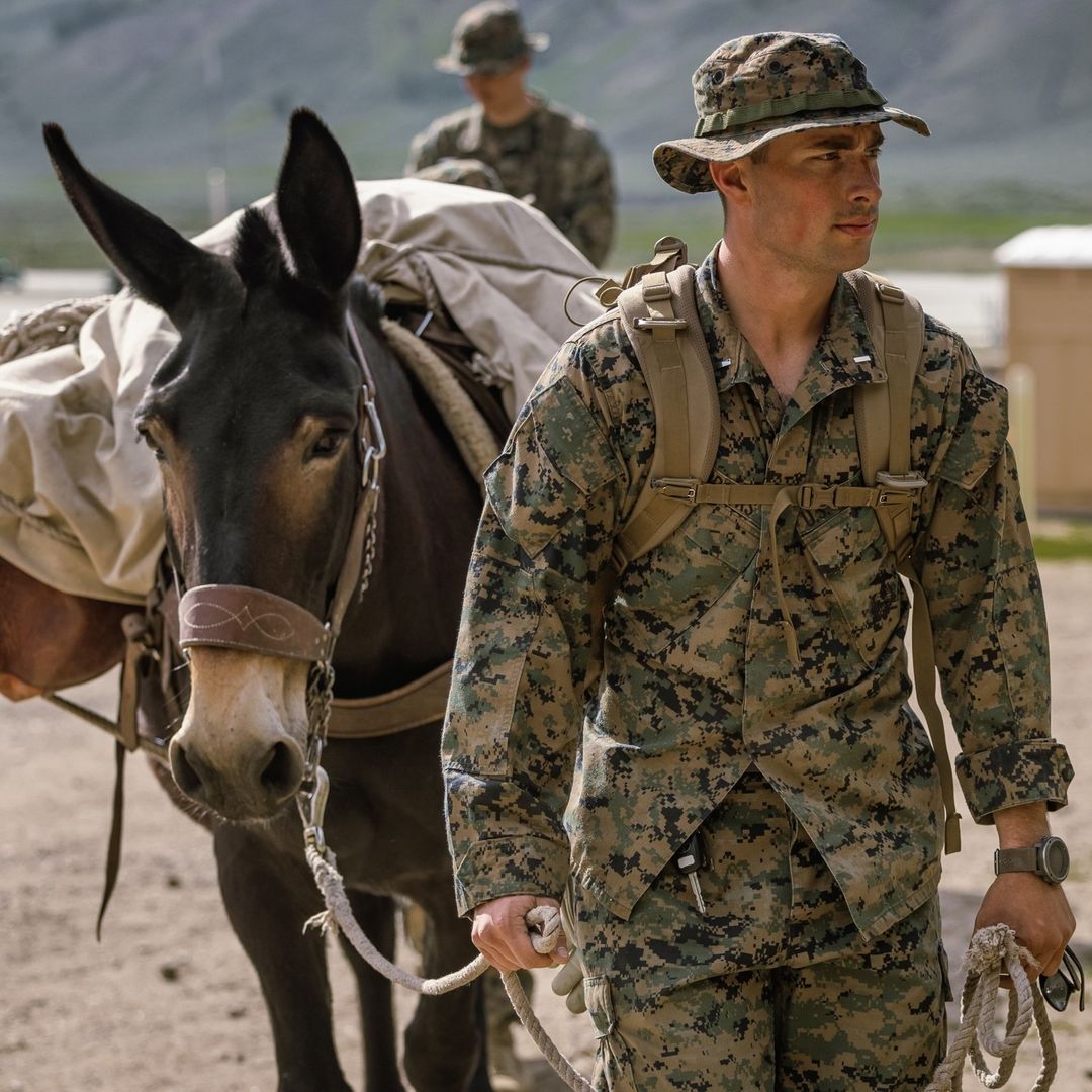 Did you know that the U.S. military still trains in the use of pack mules? The Animal Packers Course 23-1, hosted at the Marine Corps Mountain Warfare Training Center, teaches military members the art of riding, leading, loading, and maintaining of pack animals, when delivery of