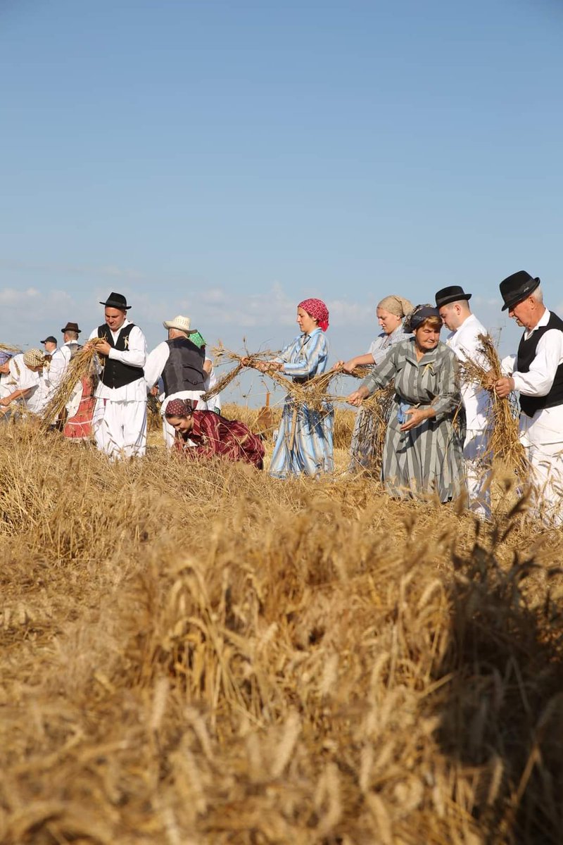 Hrvatska Riječ tweet media