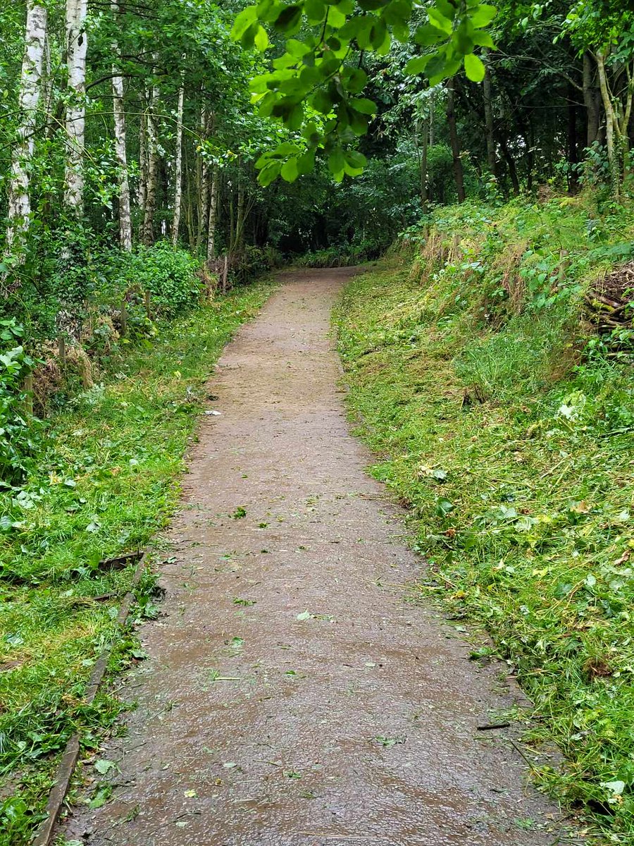 Chur Envi Volunteers tweet media