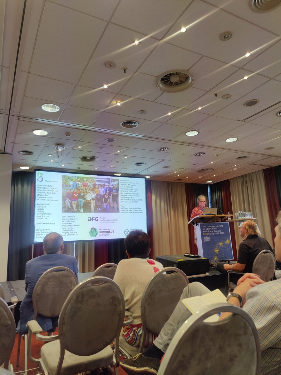 MartynaLukoseviciute (@lukmartyna) on Twitter photo And now continuing to learn how to heal broken spines from the pros - #zebrafish 🐠🎏 by <a href="/BeckerLabCRTD/">Becker Lab CRTDresden 😷</a>
#glia2023 And now continuing to learn how to heal broken spines from the pros - #zebrafish 🐠🎏 by <a href="/BeckerLabCRTD/">Becker Lab CRTDresden 😷</a>
#glia2023