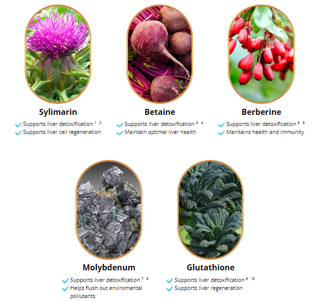 WhereToBuy_WW's tweet photo. Liv Pure:
5 super-nutrients designed to fire up your fat-burning furnace, boost your metabolism and support healthy, sustainable weight loss.
Check HERE: https://t.co/lQz1eiQB5V

#Cum2 #BritishGP #Caturday #HappyBirthdayARMY #Happy10thAnniversaryARMY https://t.co/K52RRDc6EZ