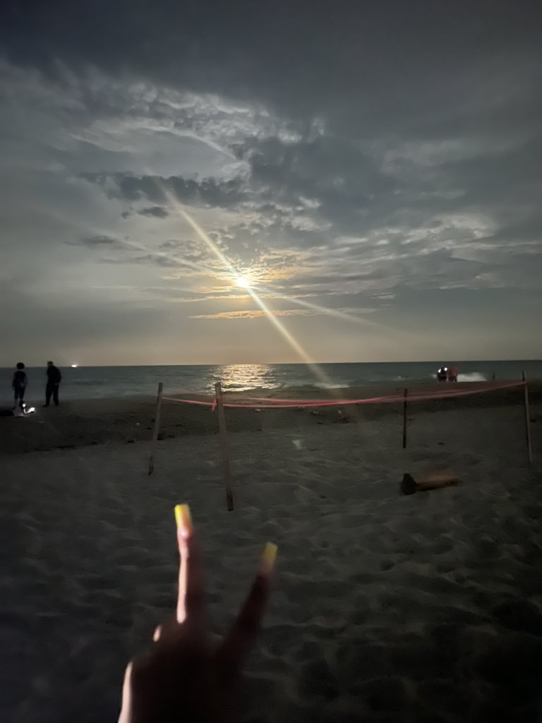 samifuckingam_'s tweet photo. 🌴💛 https://t.co/Lb4SYGmsJX