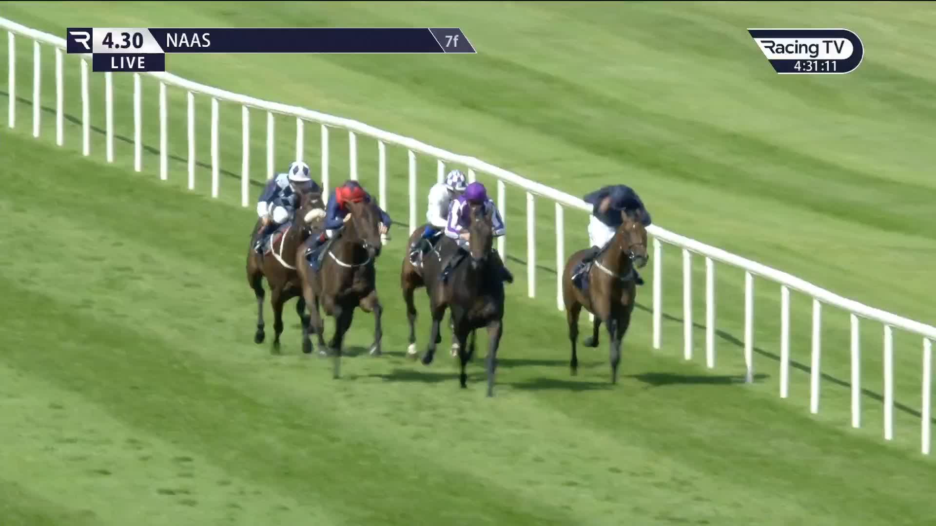 Racing TV on Twitter "Now then. Debutant Henry Adams (No Nay Never