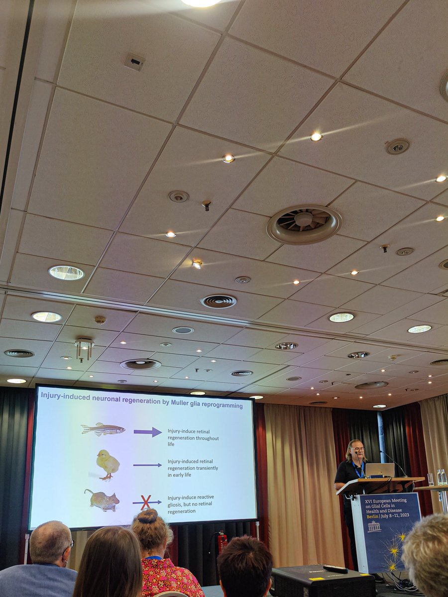 Nothing better than reconstructing and integrating regeneration GRNs of multiple species 🐠🐭🐤 @SethBlackshaw
 #glia2023