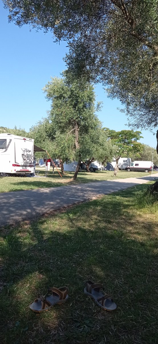 Silviacentc's tweet image. La vida pirata es la vida mejor!!!!