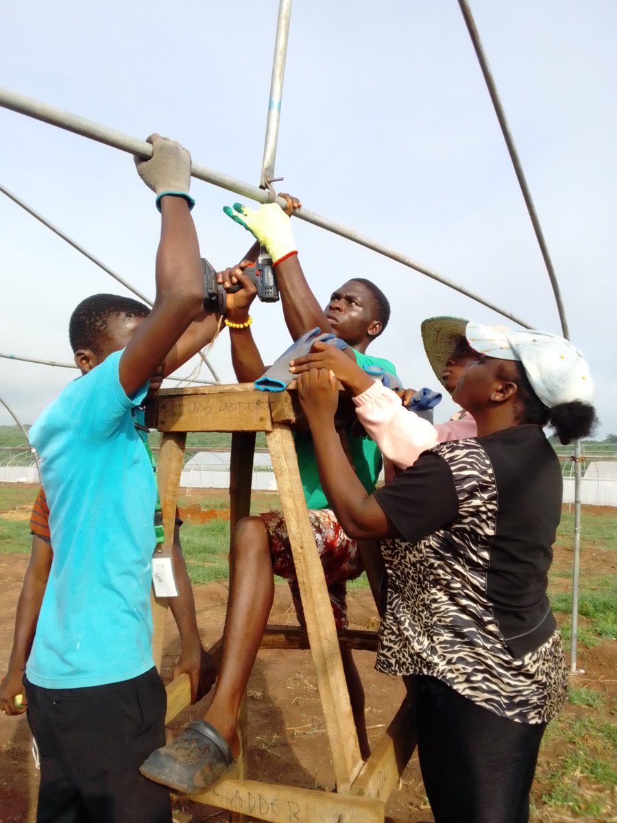 G12Growers's tweet photo. together as an organization.

#G12growers,#EYiABeta,#GreenhouseConstructionAgent,#SustainableFarming https://t.co/mXMQ2KleuX