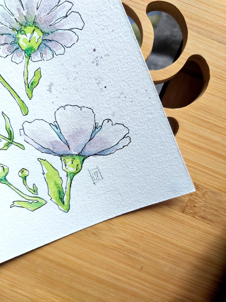 🌻|| paulina ||🌻 tweet media