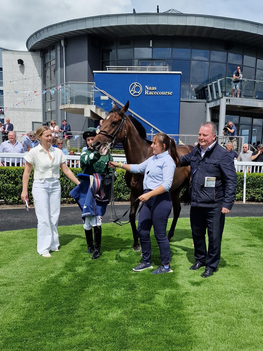 Irish Stallion Farms tweet media