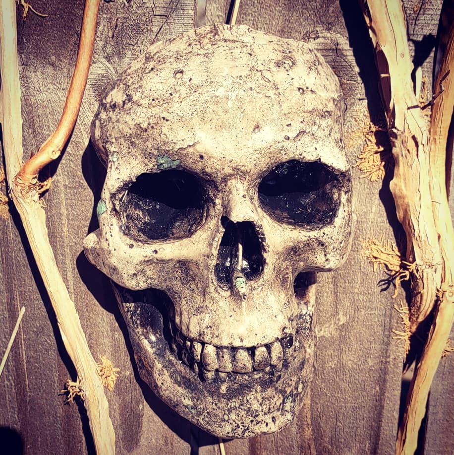 krushskulls's tweet photo. Skull Post #16 all of these are 1/1's, no duplicates(non duplicable) scagliola is a type of false marble, it came into fashion with the medici family, not painted, not plastic #skulls #skull #skeleton #oddity #macabre #art #handmade #oneofakind #scagliola #unique #decordesign https://t.co/cDM7Y3SGUk