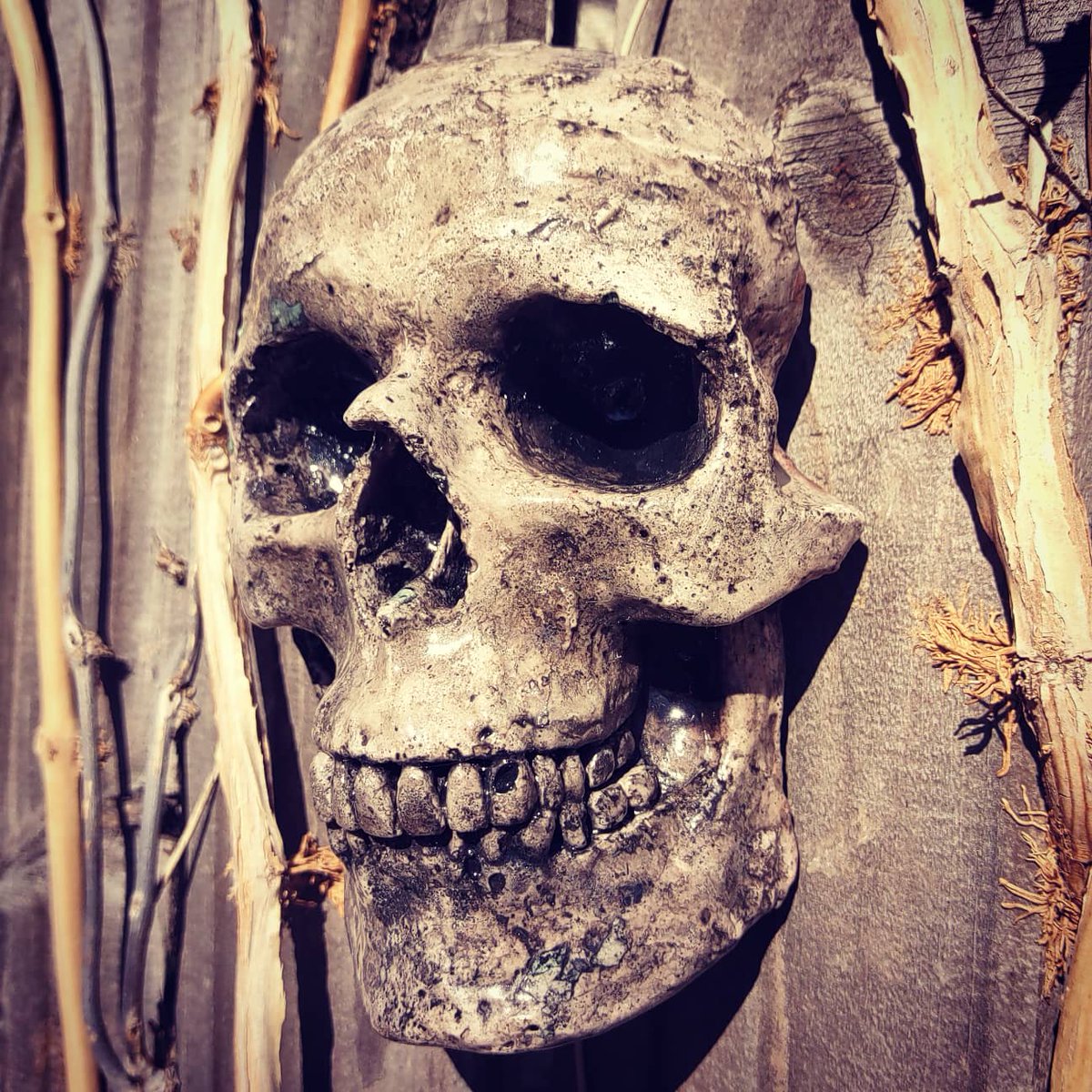 krushskulls's tweet photo. Skull Post #16 all of these are 1/1's, no duplicates(non duplicable) scagliola is a type of false marble, it came into fashion with the medici family, not painted, not plastic #skulls #skull #skeleton #oddity #macabre #art #handmade #oneofakind #scagliola #unique #decordesign https://t.co/cDM7Y3SGUk