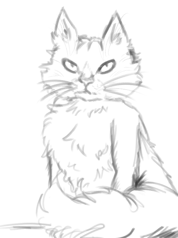 xbeea_'s tweet photo. big gatito🐈 https://t.co/7tiZLFtYLm
