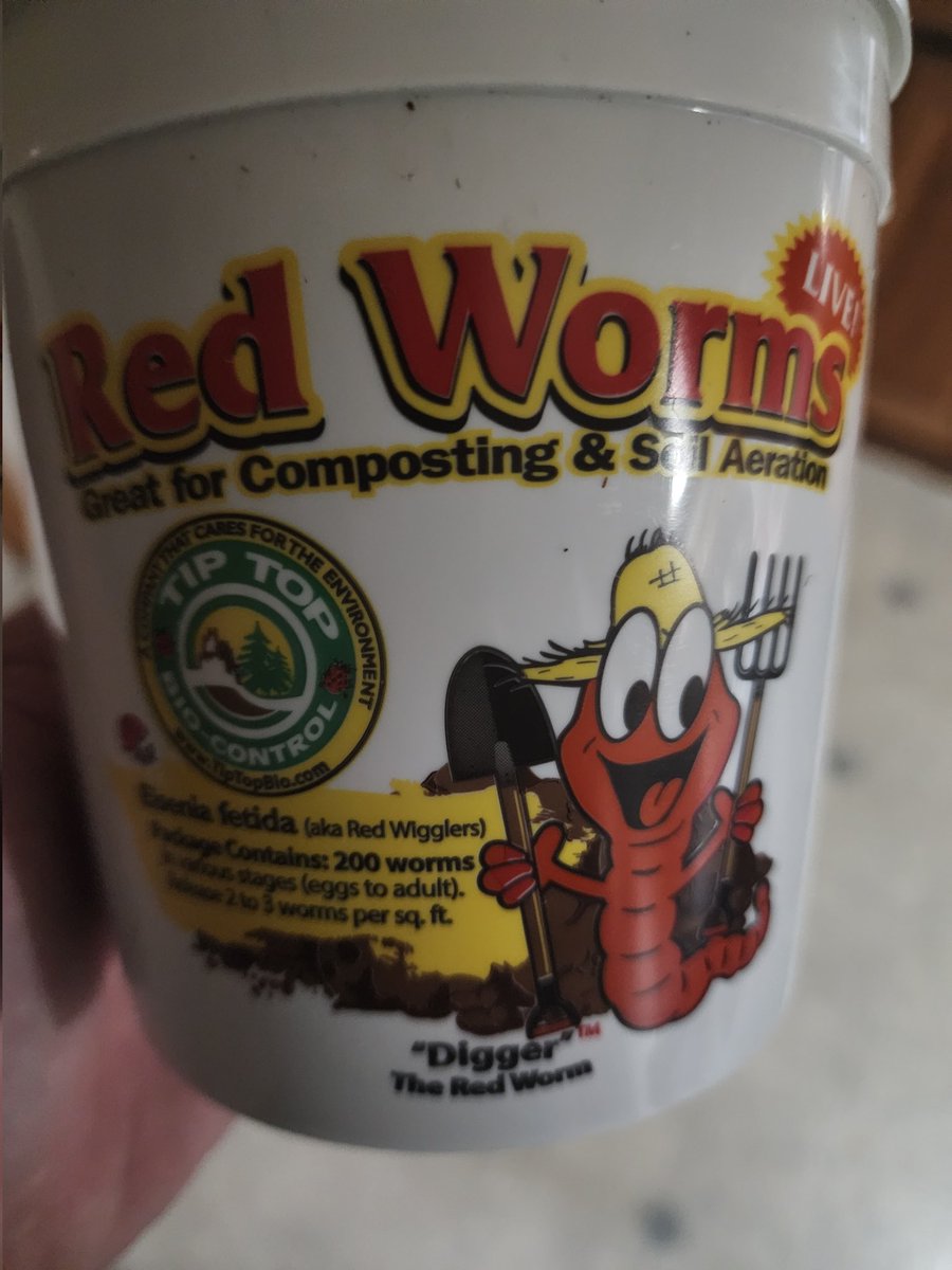 kclightup's tweet photo. Add the best little guys to get breaking down material and compost. #wormcastings is living soil gold. #CannaLand https://t.co/oVvNxhEvuZ