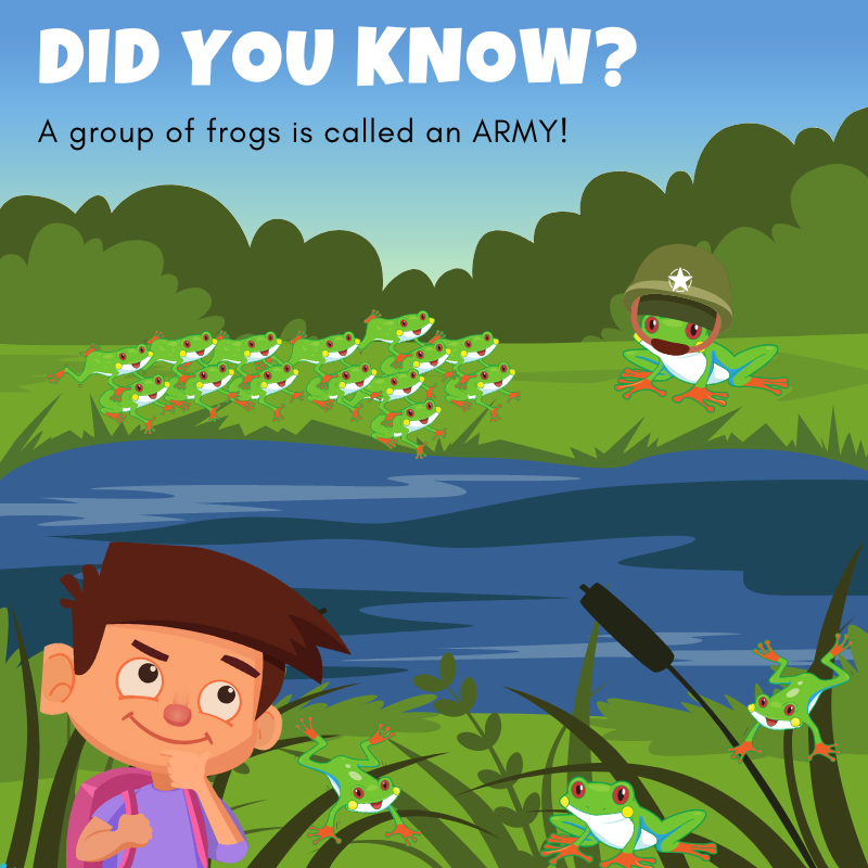 bumps_bottom's tweet photo. An army of frogs!🐸🪖

#BottomBumps #EddieAndTheBumps #FartJoke #Fact #KidsGame #FactsforKids #InterestingFact #MobileGame 🍃 https://t.co/kkZJnhdl4U