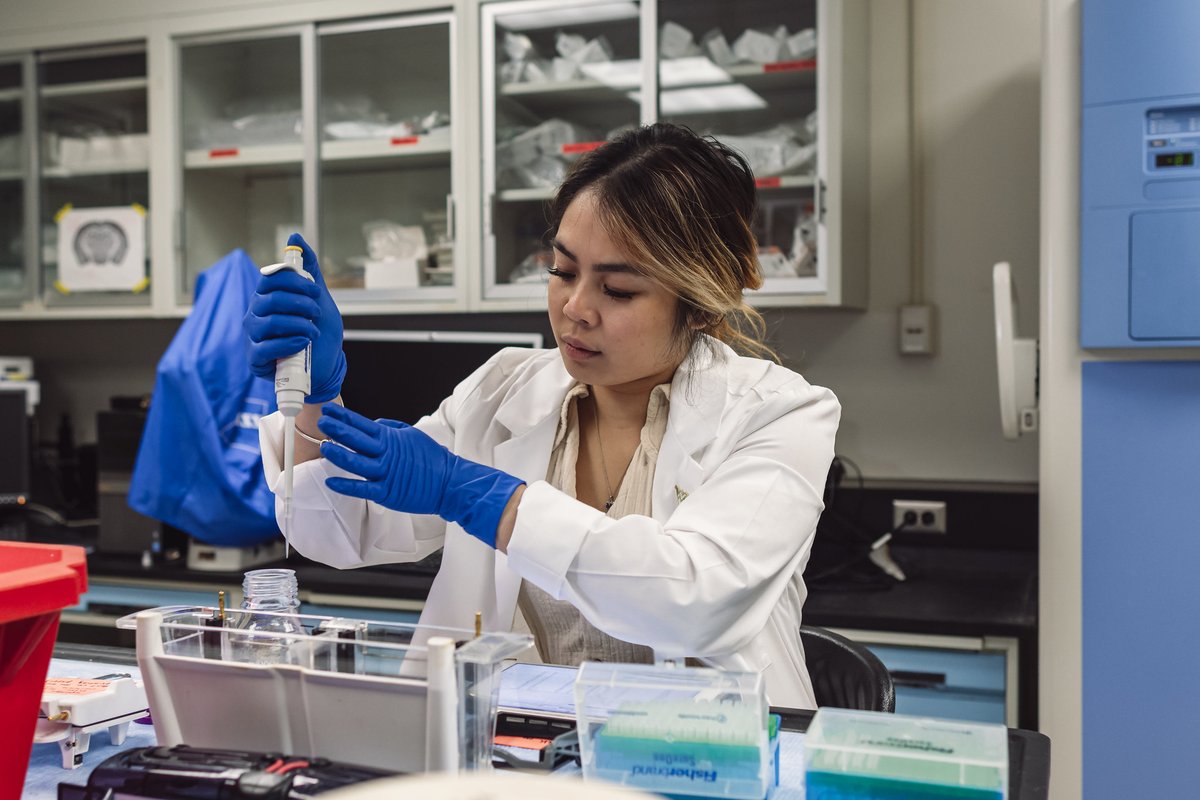 WVU is pursuing education, healthcare and prosperity for its people with a renewed and focused determination. Your gift will help the University innovate for the future and open doors for everyone to grow and thrive.

Make a difference ➡️ give.wvu.edu/campaign/givew…