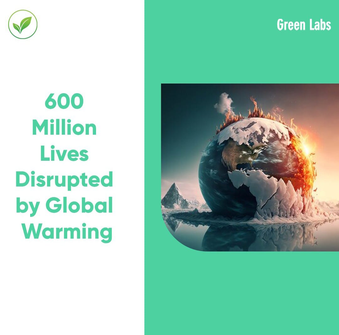 📊🌍600M lives impacted by global warming between 1960 and 1990. 🌍🔥
🤝🌞Act now for a sustainable future! 🌈🌱

Learn more: forbes.com/sites/kensilve…

#ClimateCrisis #GlobalWarmingImpact #ActForChange #SustainableFuture #ClimateActionNow #ProtectOurPlanet #ClimateEmergency