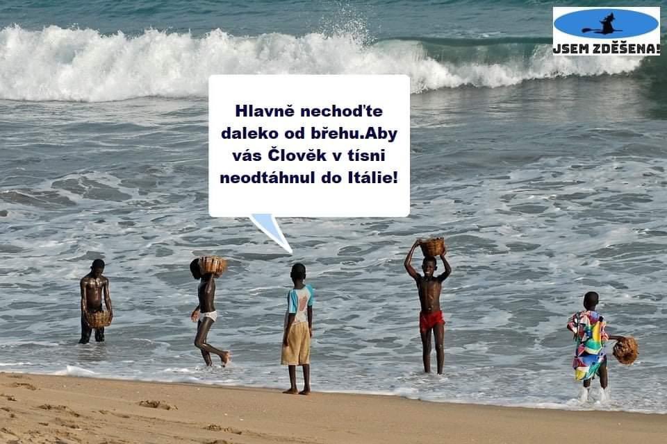 Filip Turek (@dolphsegal) on Twitter photo 