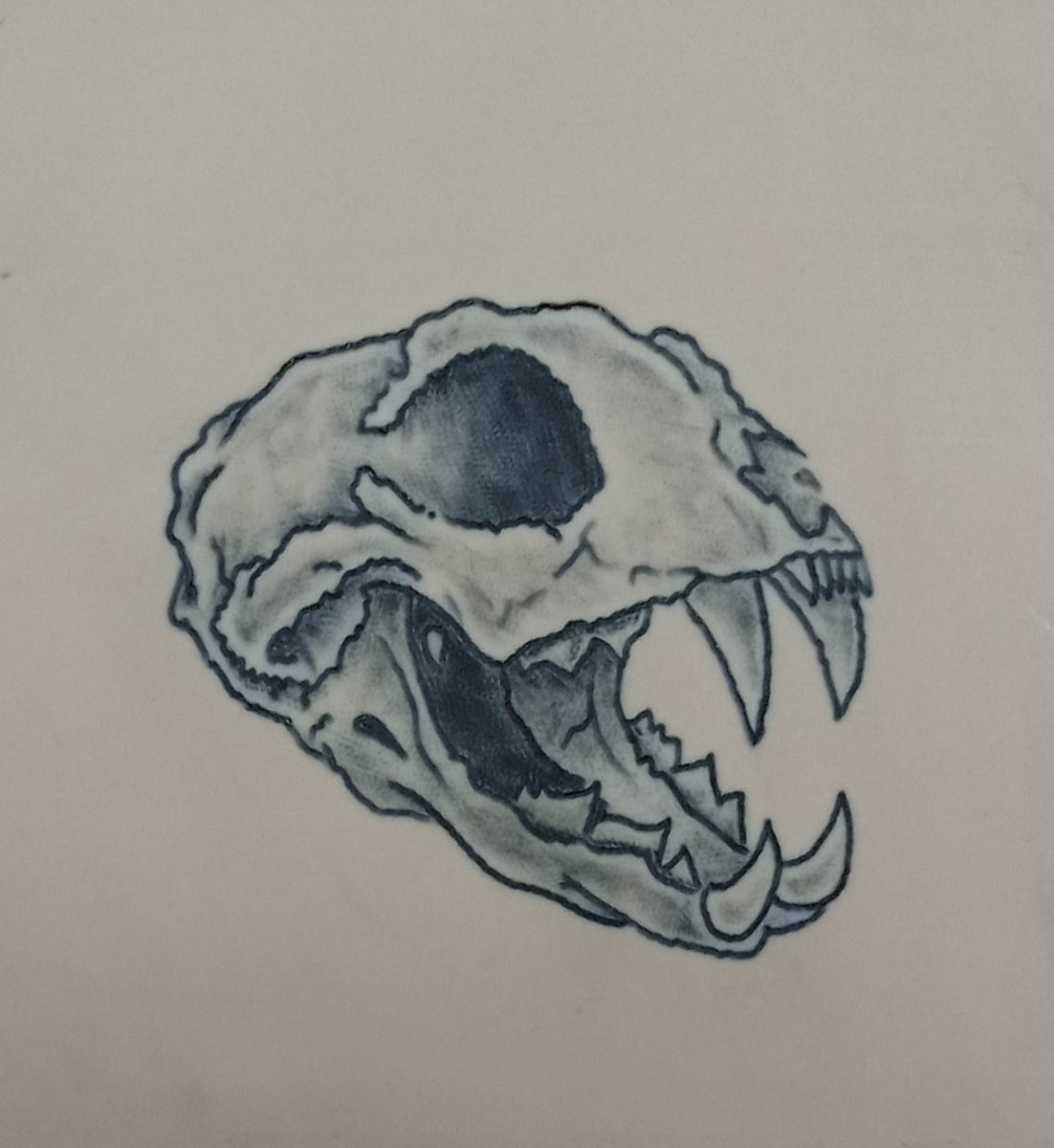 javi avalos (@pitubskt) on Twitter photo 