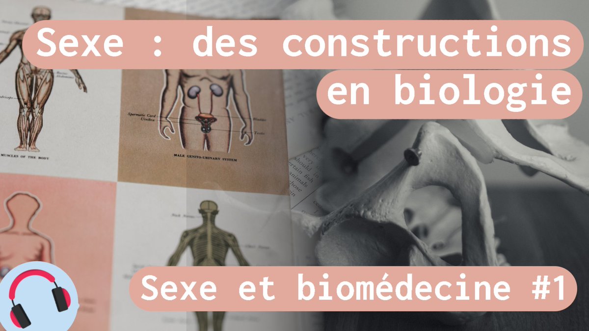La série « Sexe et biomédecine » commence ! 

Dans ce 1er audio, on fait un retour sur la notion de « sexe », sur sa distinction d'avec celle de « genre », et on fait un petit état des critiques de la bicatégorisation mâle/femelle.

Le RT aide beaucoup ✨

youtu.be/YmiuBW1RXNA