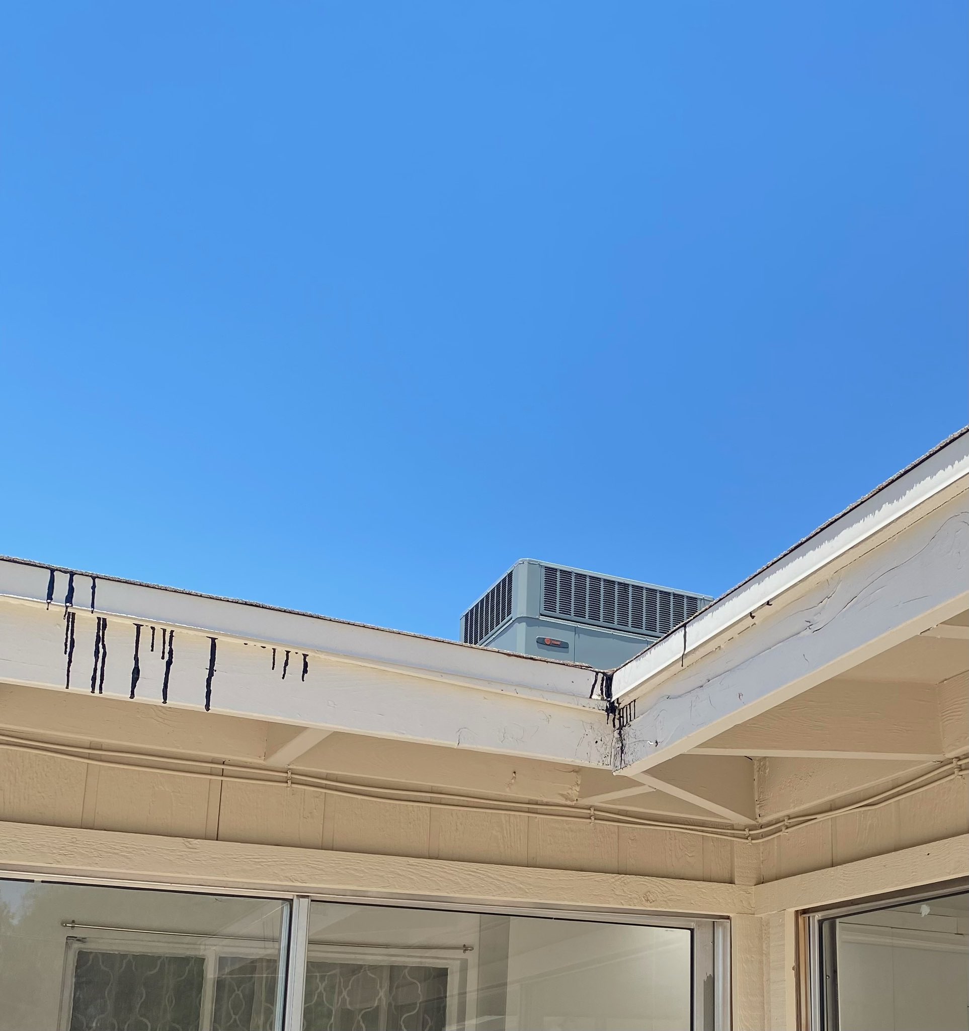 Astrid Galván on Twitter "How bad is the Phoenix heat wave? The tar is